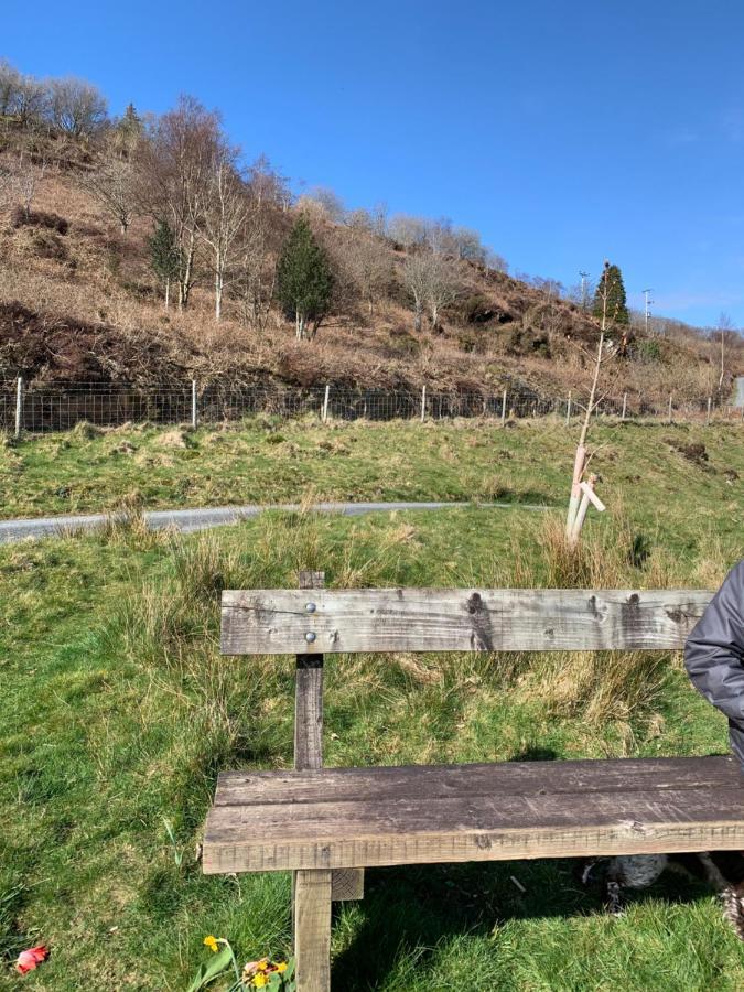 Penrhyndeudreath Snowdonia Rock Cottage - Cosy And Pet Friendly المظهر الخارجي الصورة