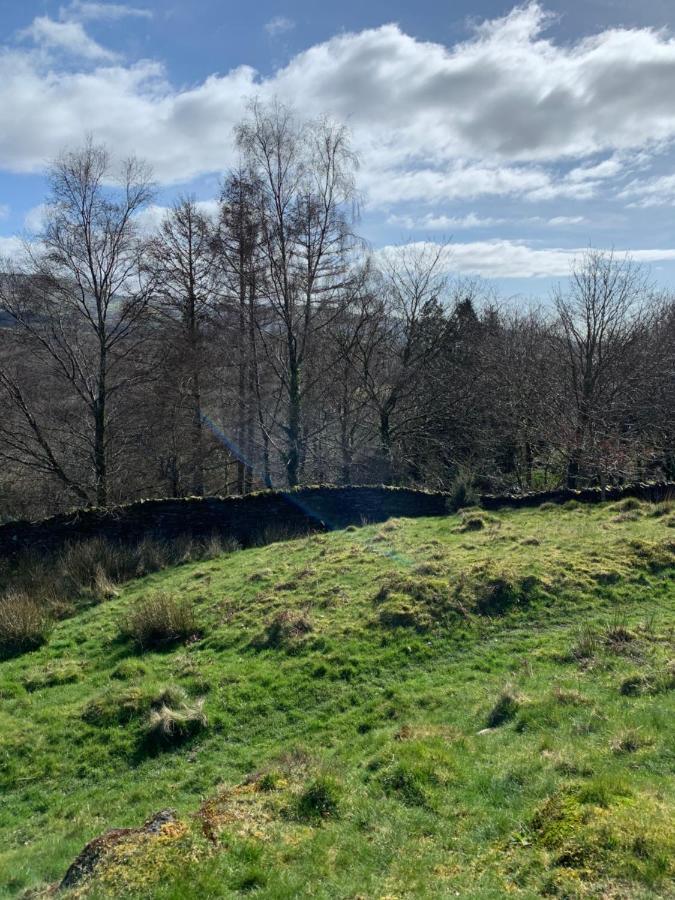 Penrhyndeudreath Snowdonia Rock Cottage - Cosy And Pet Friendly المظهر الخارجي الصورة